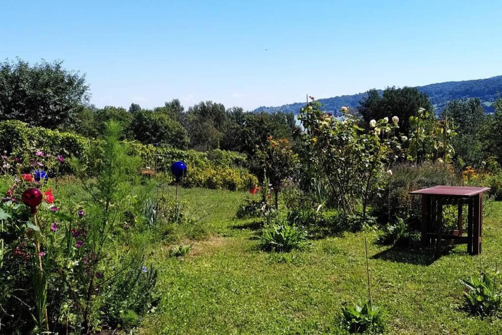 Seenah - Ihre Wohnung Am Bodensee / Untersee Gaienhofen  Kültér fotó