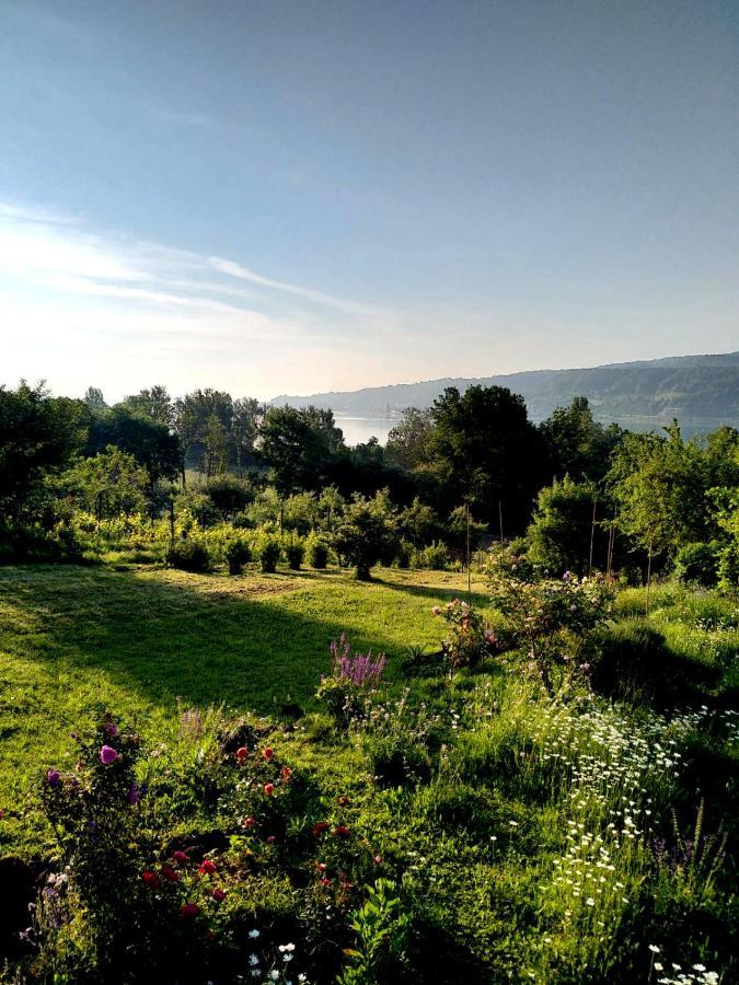 Seenah - Ihre Wohnung Am Bodensee / Untersee Gaienhofen  Kültér fotó